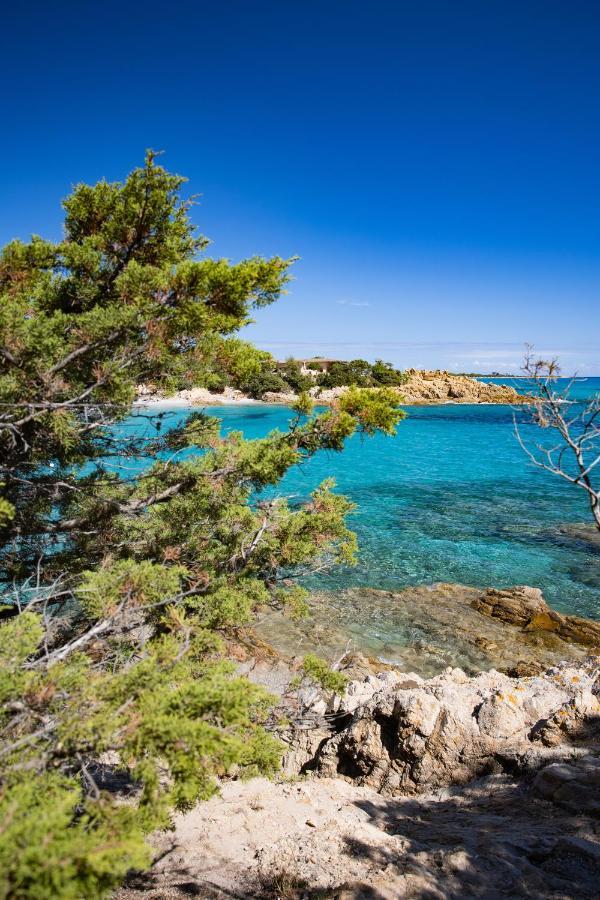 Tirreno Resort Cala Liberotto Esterno foto